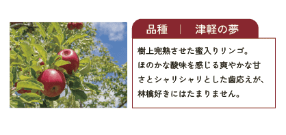 パンフレット制作時のポイント